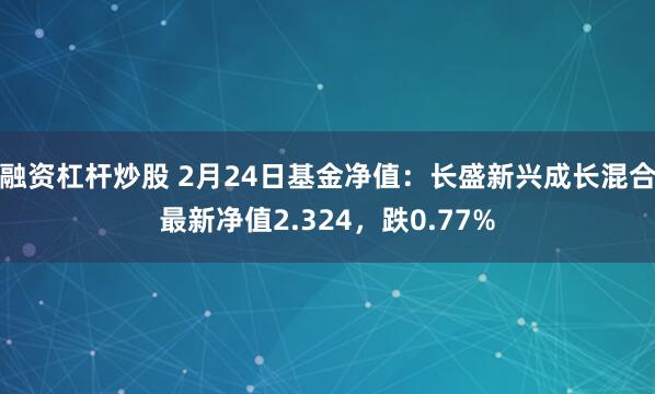 融资杠杆炒股 2月24日基金净值：长盛新兴成长混合最新净值2.324，跌0.77%