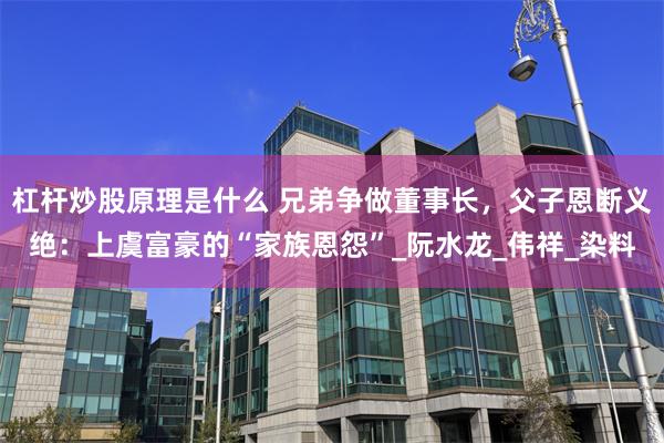 杠杆炒股原理是什么 兄弟争做董事长，父子恩断义绝：上虞富豪的“家族恩怨”_阮水龙_伟祥_染料