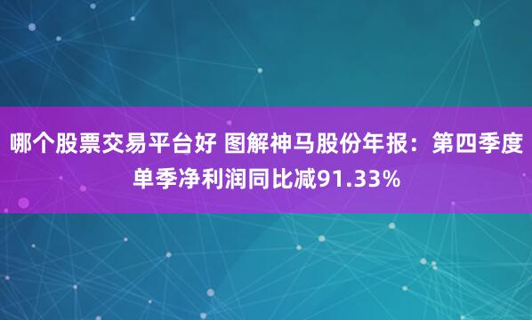 哪个股票交易平台好 图解神马股份年报：第四季度单季净利润同比减91.33%