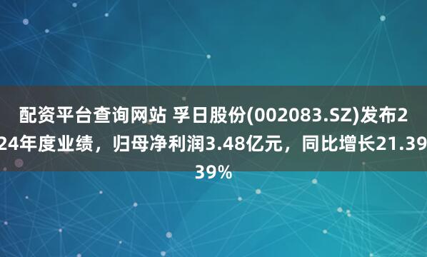 配资平台查询网站 孚日股份(002083.SZ)发布2024年度业绩，归母净利润3.48亿元，同比增长21.39%