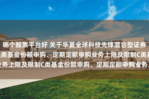 哪个股票平台好 关于华夏全球科技先锋混合型证券投资基金(QDII)调整A类基金份额申购、定期定额申购业务上限及限制C类基金份额申购、定期定额申购业务上限的公告
