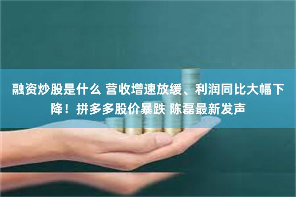 融资炒股是什么 营收增速放缓、利润同比大幅下降！拼多多股价暴跌 陈磊最新发声