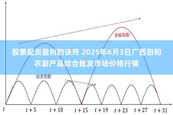 股票配资盈利的诀窍 2025年6月3日广西田阳农副产品综合批发市场价格行情